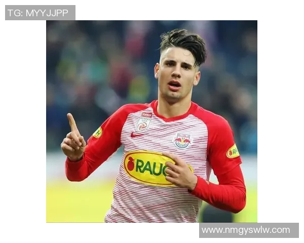 索博斯洛伊的历史传承与文化魅力探秘之旅