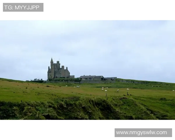 丹麦与北爱尔兰激战正酣比分揭晓引发球迷热议