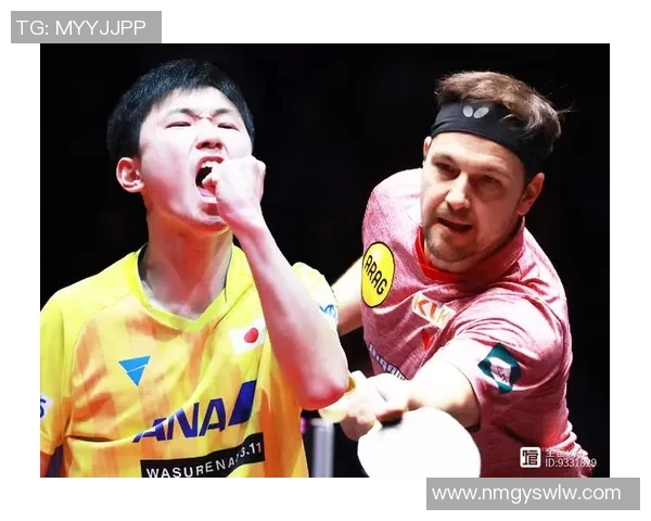 张本智和与波尔精彩对决全程录像回放分析与精彩瞬间集锦