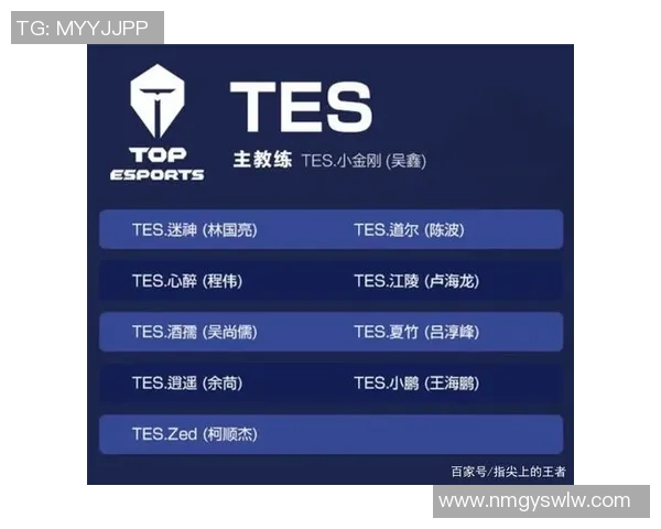 王者荣耀战术新解析TOP10TES战队表现抢眼引领潮流