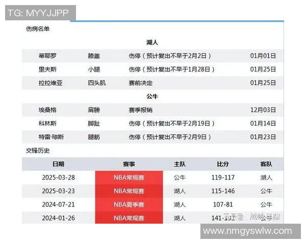 湖人对公牛全场比赛数据分析与精彩瞬间回顾