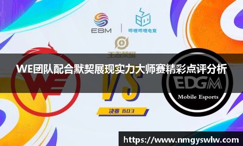 WE团队配合默契展现实力大师赛精彩点评分析