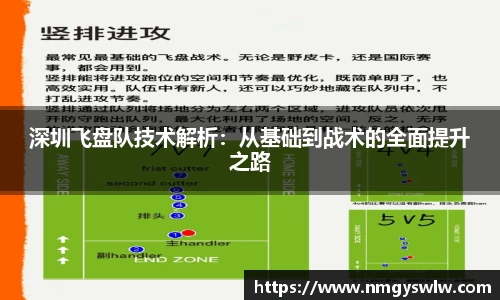 深圳飞盘队技术解析：从基础到战术的全面提升之路