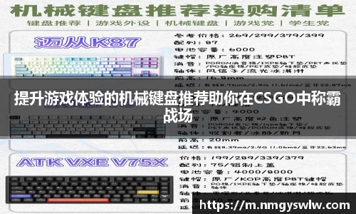 提升游戏体验的机械键盘推荐助你在CSGO中称霸战场