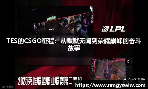 TES的CSGO征程：从默默无闻到荣耀巅峰的奋斗故事