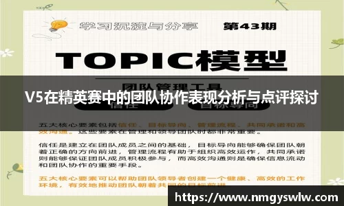 V5在精英赛中的团队协作表现分析与点评探讨